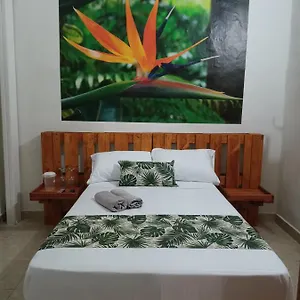 Pensión Casa-hotel Boutique El Jardín De, Envigado